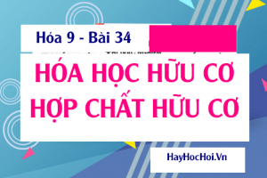 Hóa học hữu cơ là gì? Hợp chất Hữu cơ là gì, có ở đâu và Cách phân loại  - Hóa 9 bài 34